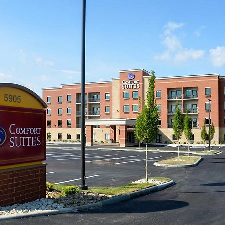 Comfort Suites Florence - Cincinnati South Exteriör bild